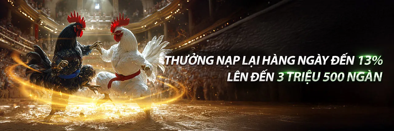 Đá gà trực tuyến Kufun Link Mới